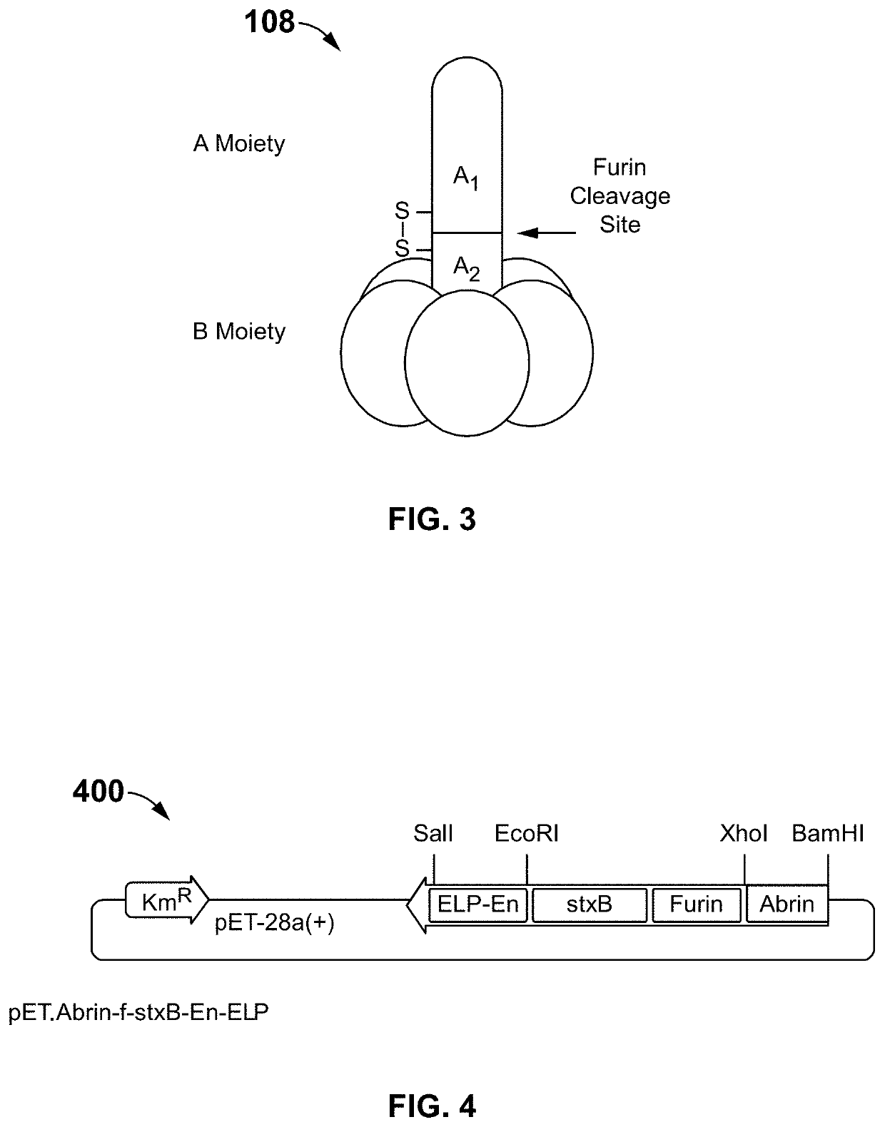 Targeted delivery of the abrin-a a-chain to cancer cells