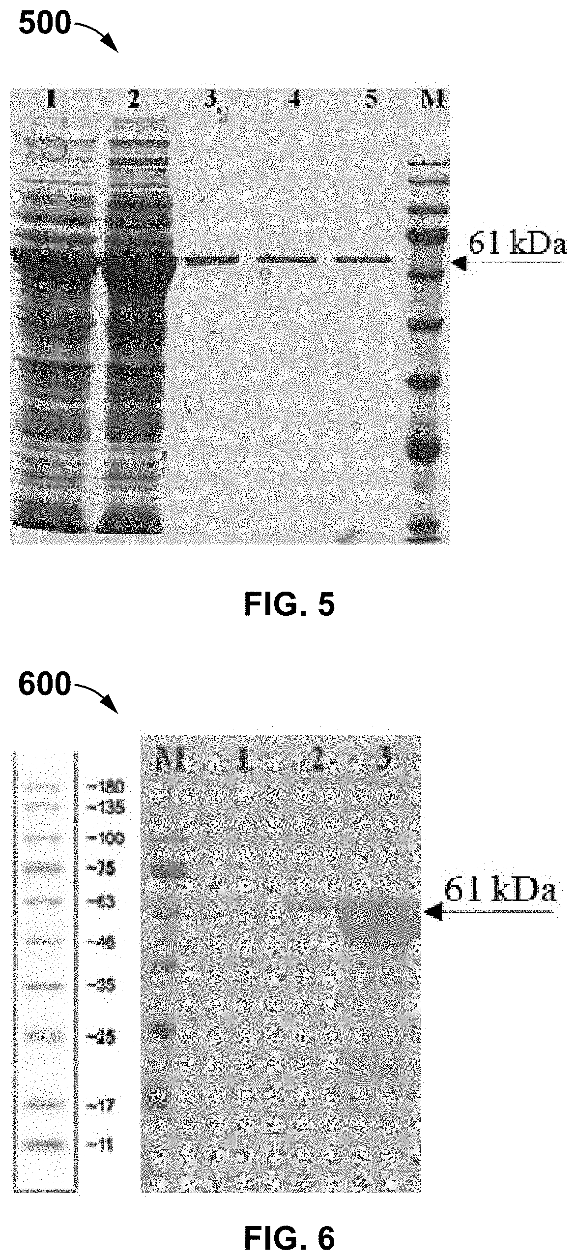 Targeted delivery of the abrin-a a-chain to cancer cells