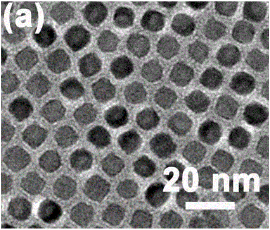 Method for preparing solvated nanocrystalline thermoelectric thin film through interface control method