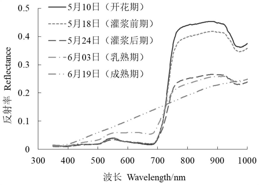 Winter wheat dynamic harvest index remote sensing estimation method obtained based on D-fG parameter remote sensing