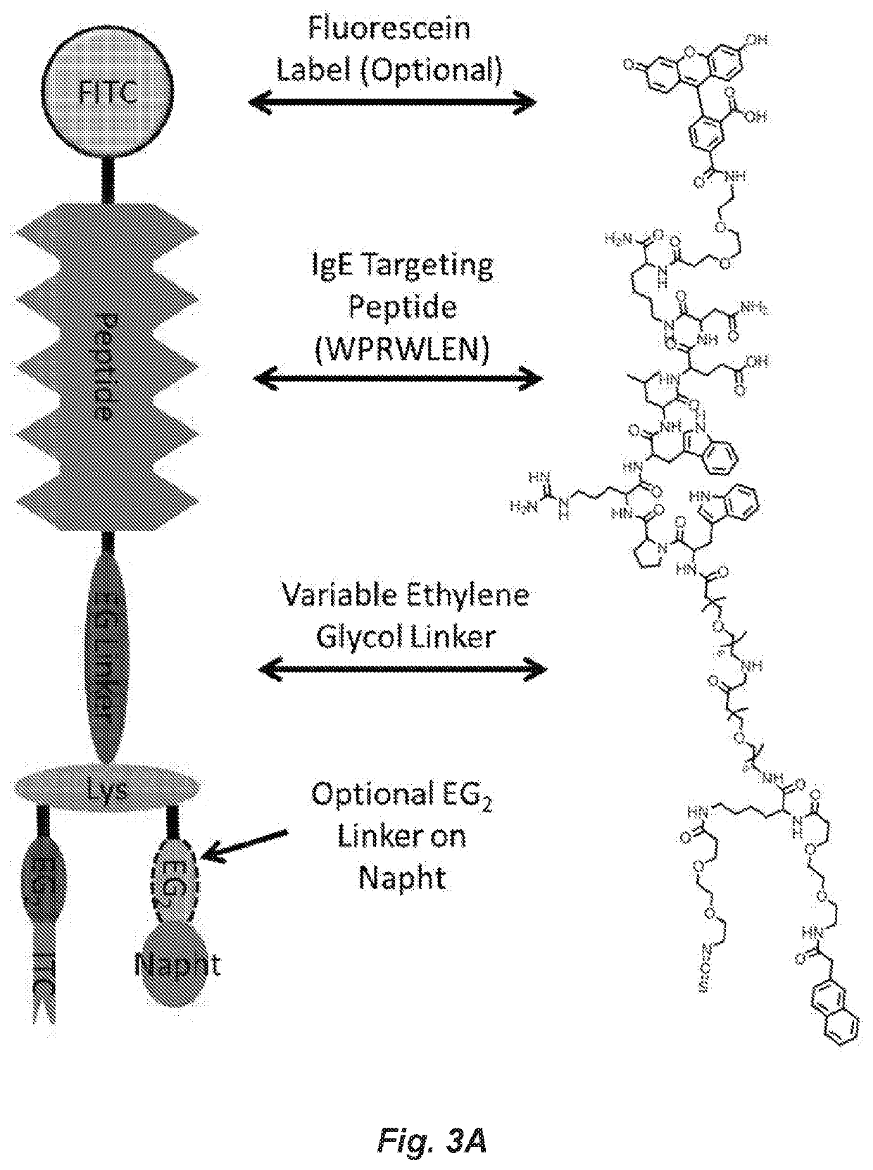 Covalent heterobivalent antibody inhibitors and ligands