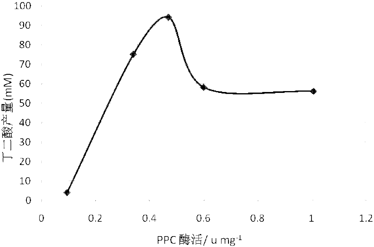 Recombinant bacteria for increasing yield of succinic acid and construction method thereof