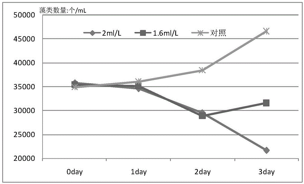 Method for inhibiting excessive growth of algae in water body by using masson pine leaves