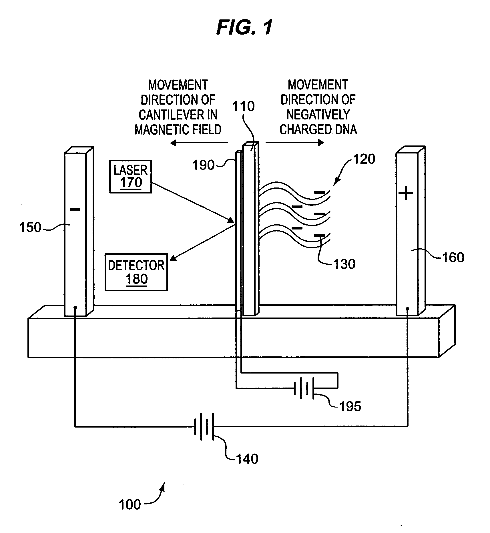 Detecting molecular binding by monitoring feedback controlled cantilever deflections