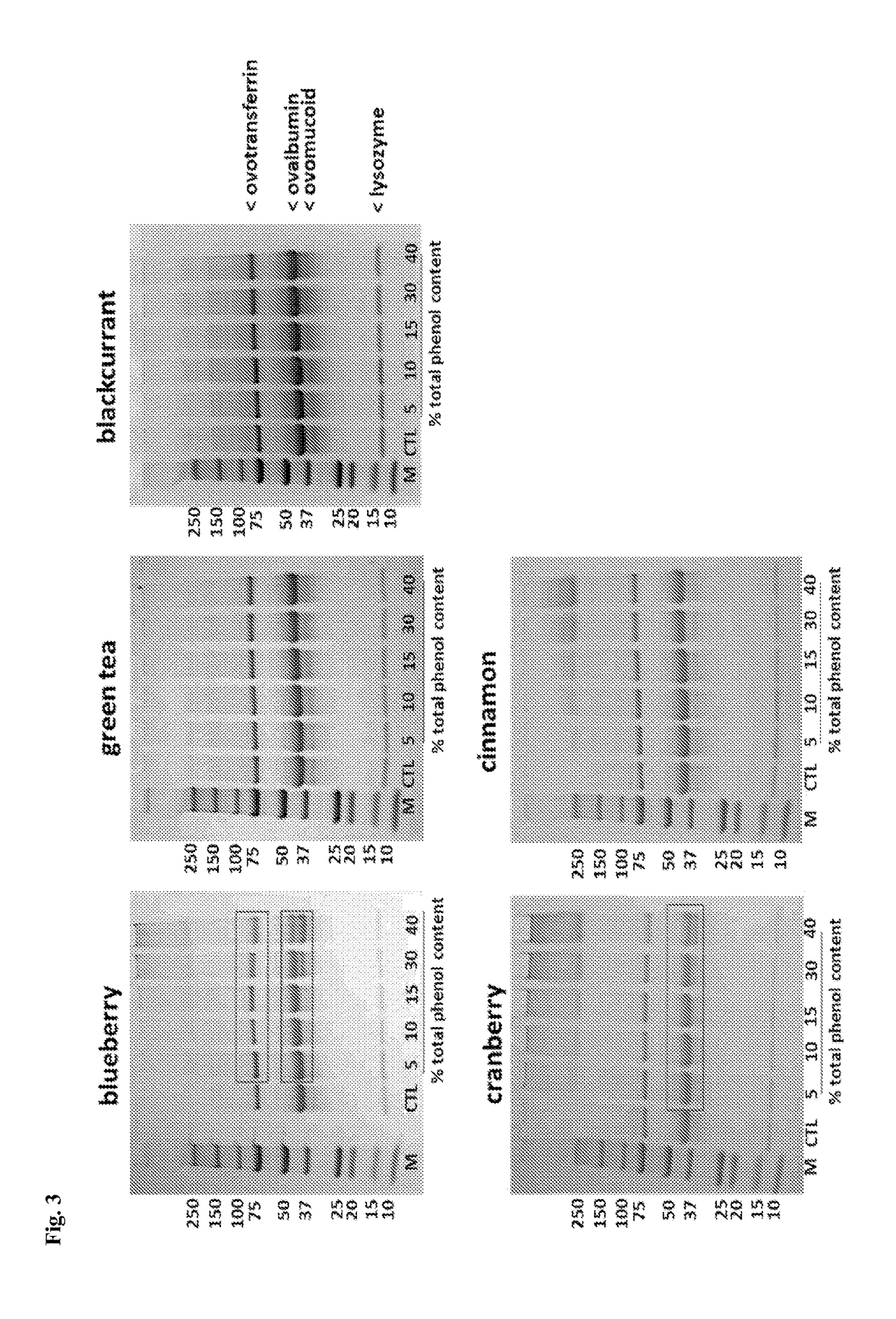 Methods and compositions for attenuating allergenicity in protein products