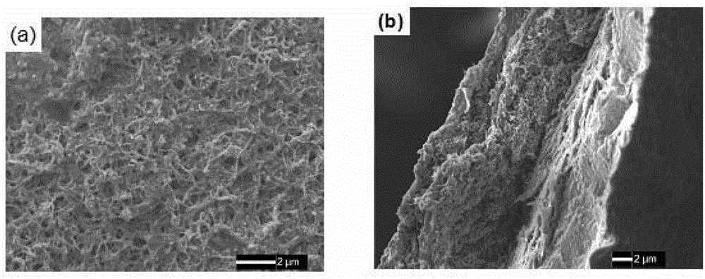 A method for preparing carbon nanotube composite conductive hydrogel coating modified electrode