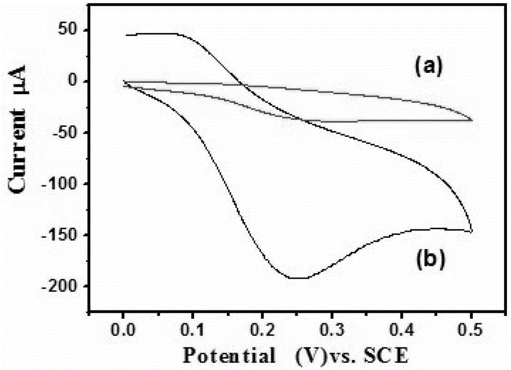 A method for preparing carbon nanotube composite conductive hydrogel coating modified electrode