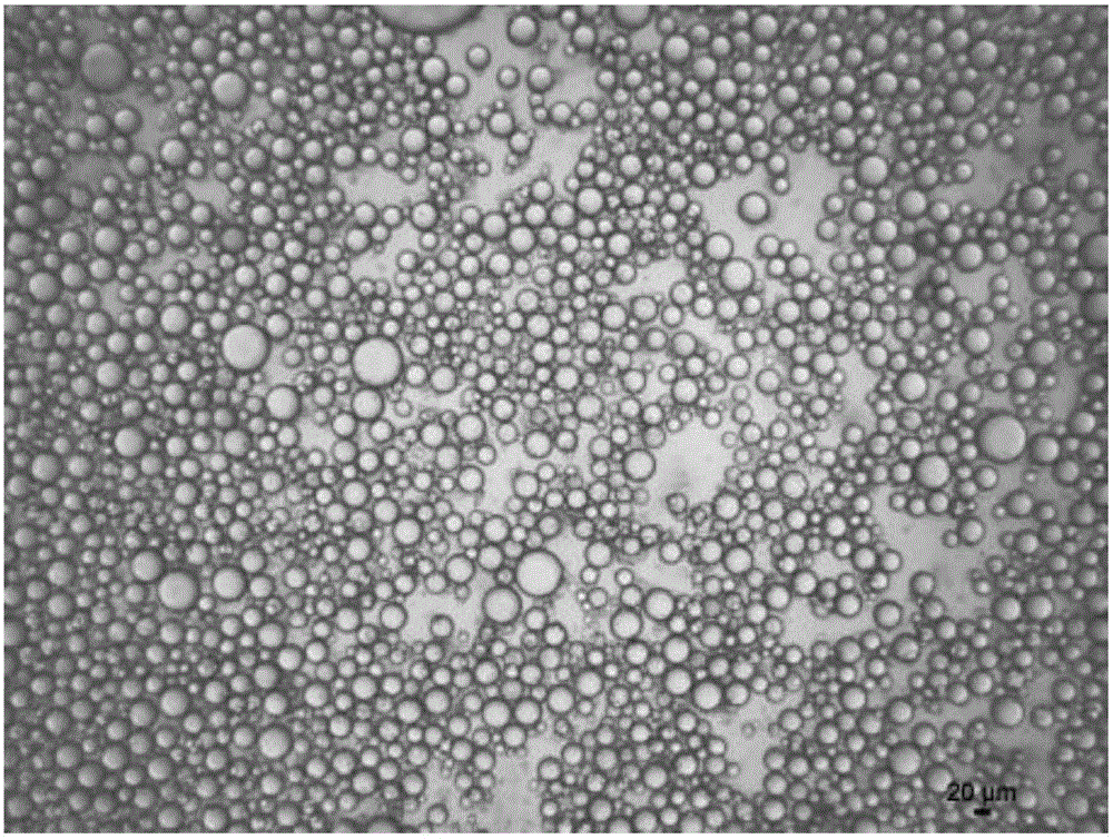Method for preparing Pickering emulsion by utilizing modified nano-crystalline cellulose