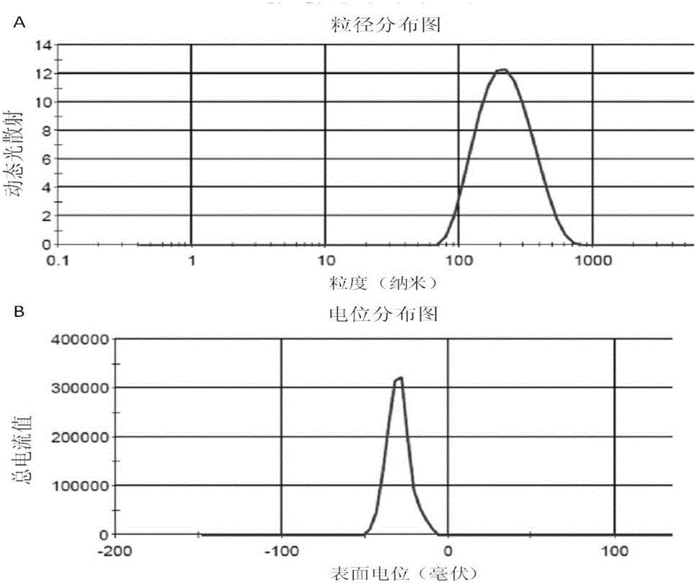 Glaucocalyxin A-carrying bilirubin albumin nanoparticles and preparation method and application thereof