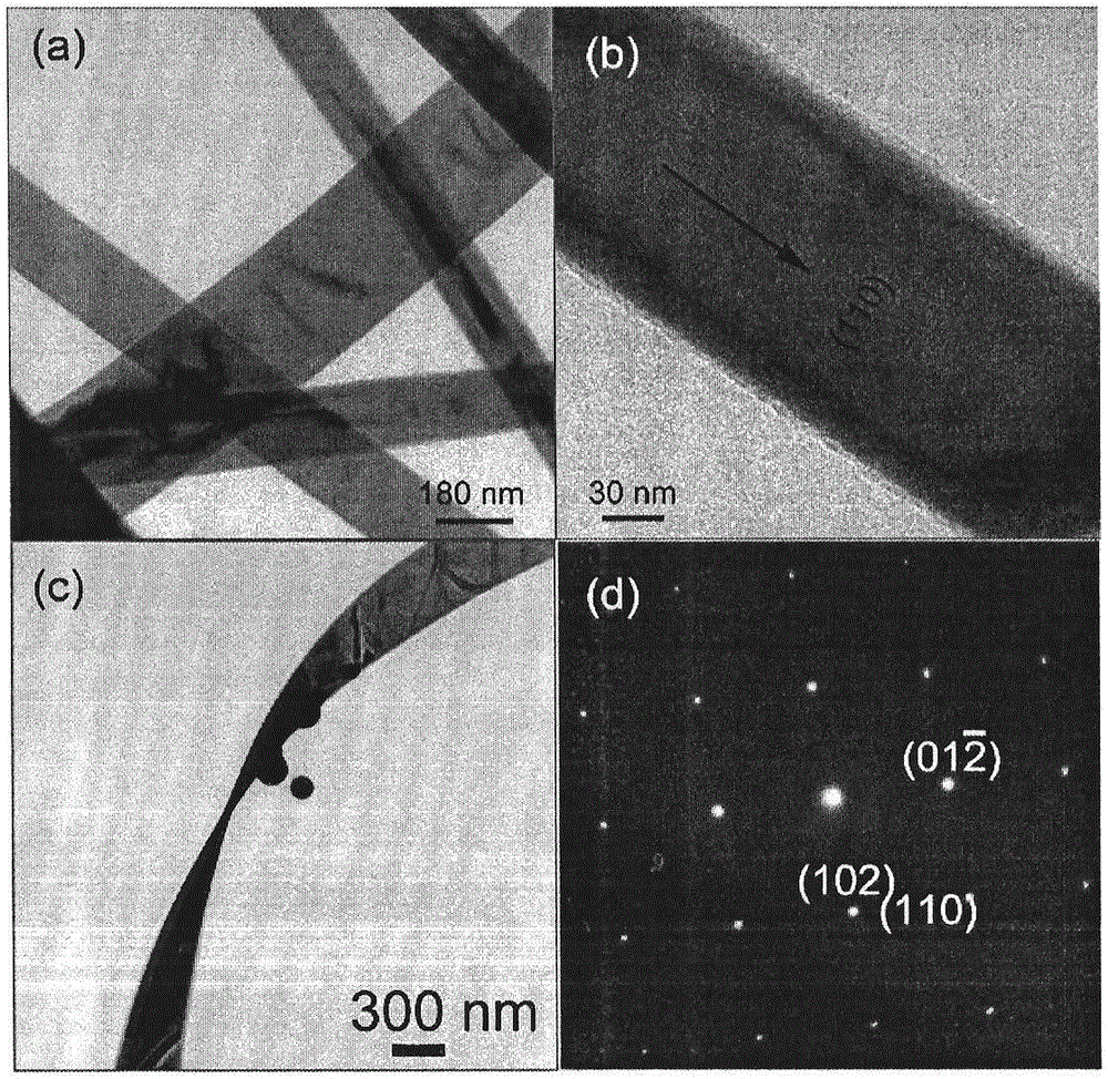 Half-metallic bismuth nanoribbon, half-metallic bismuth nanospheres and preparation method of half-metallic bismuth nanoribbon and half-metallic bismuth nanospheres