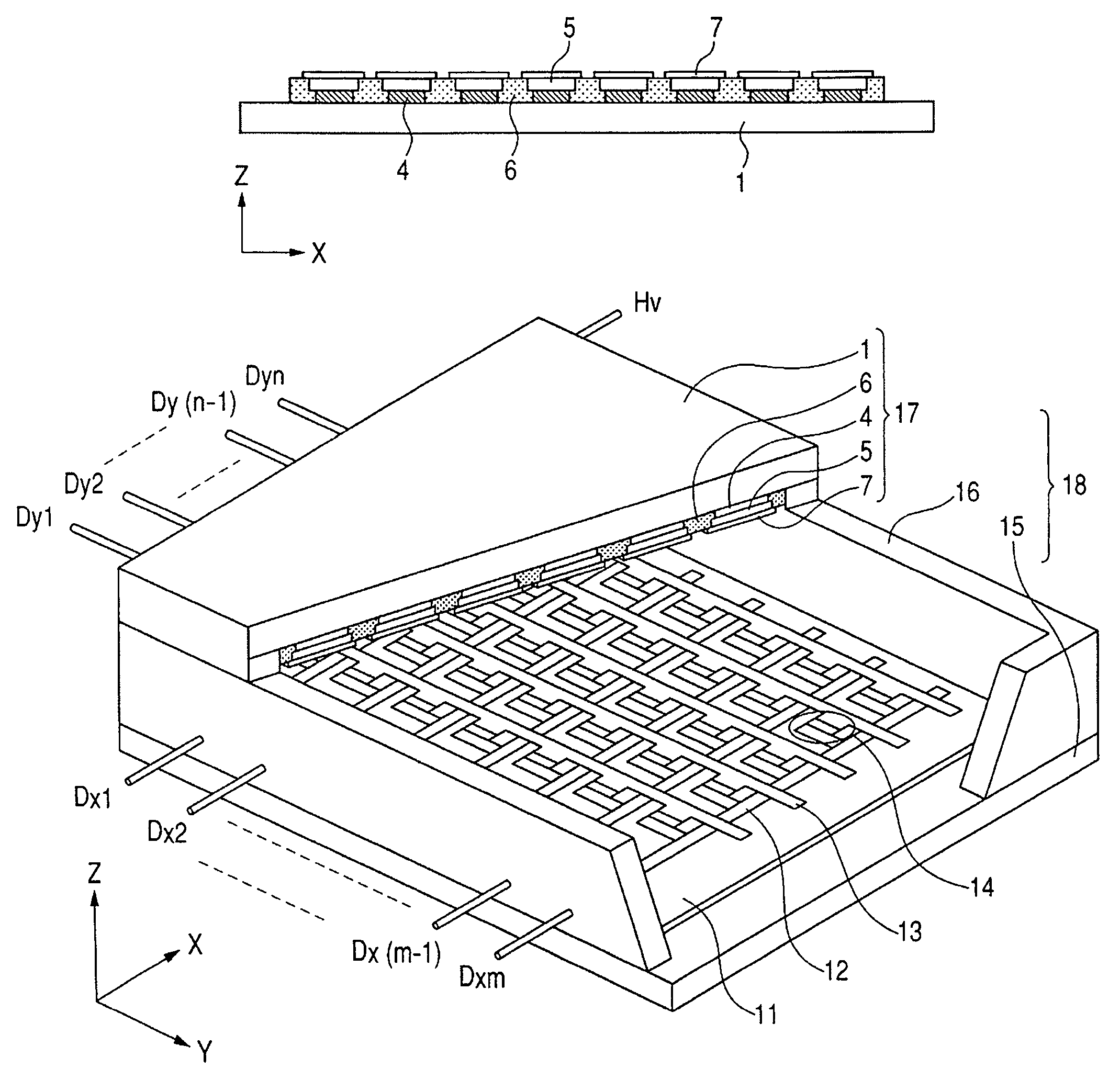 Light emitting screen structure and image forming apparatus