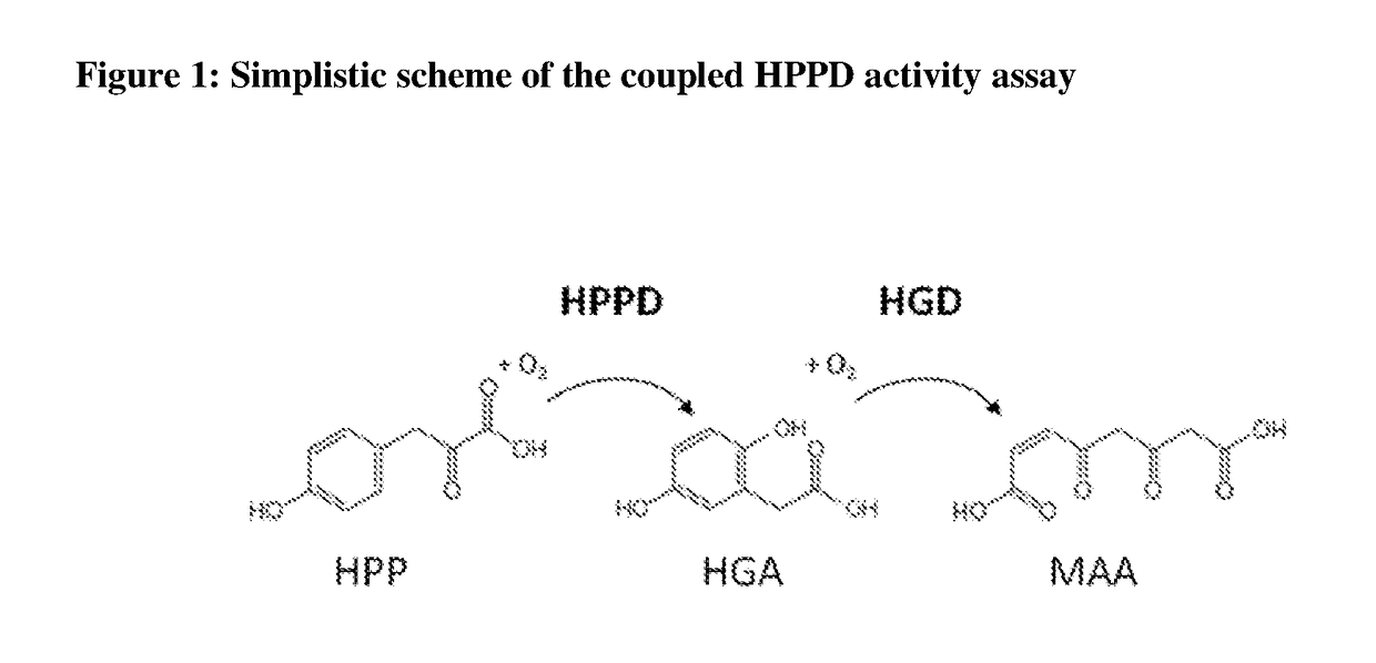 Hppd variants and methods of use