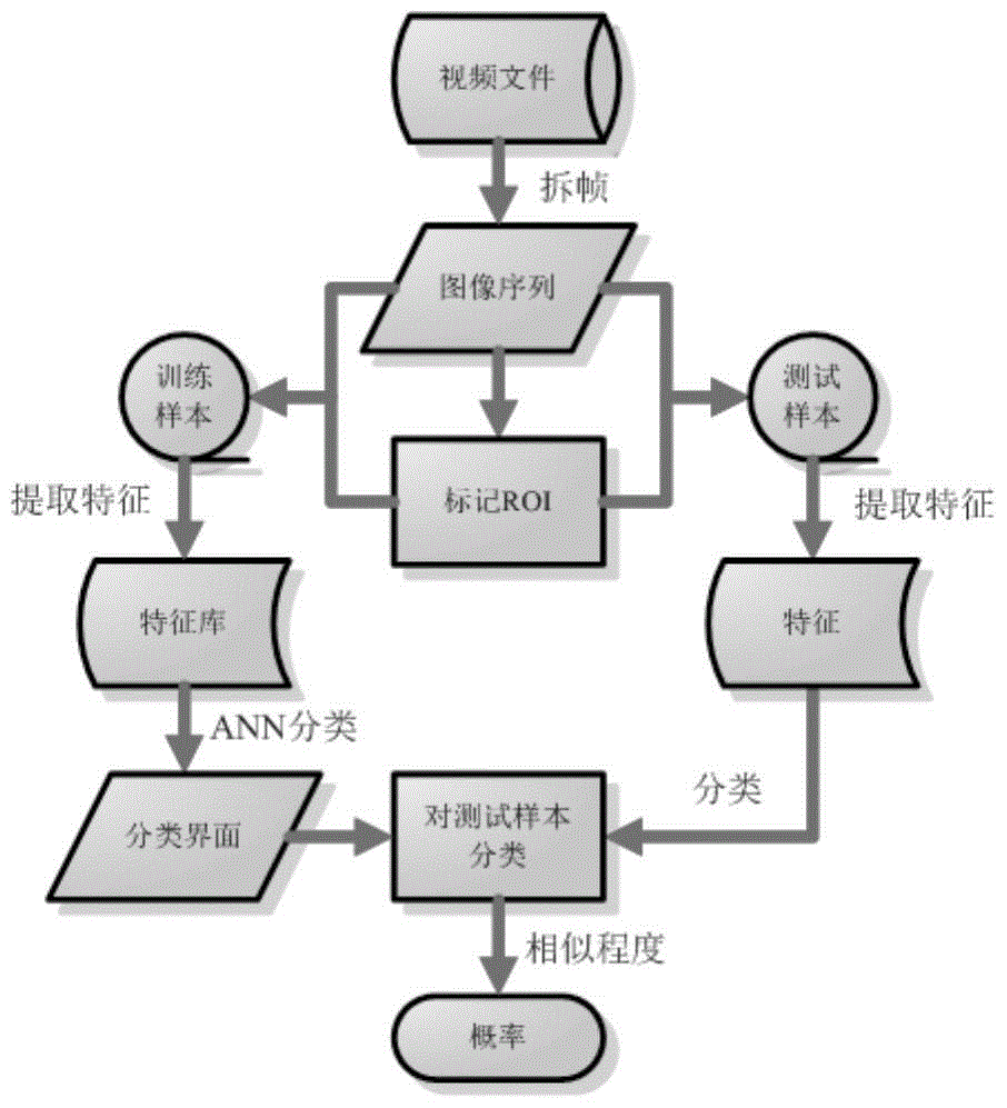 Computer-aided ultrasonographic diagnosis of left atrium/left atrial appendage thrombus