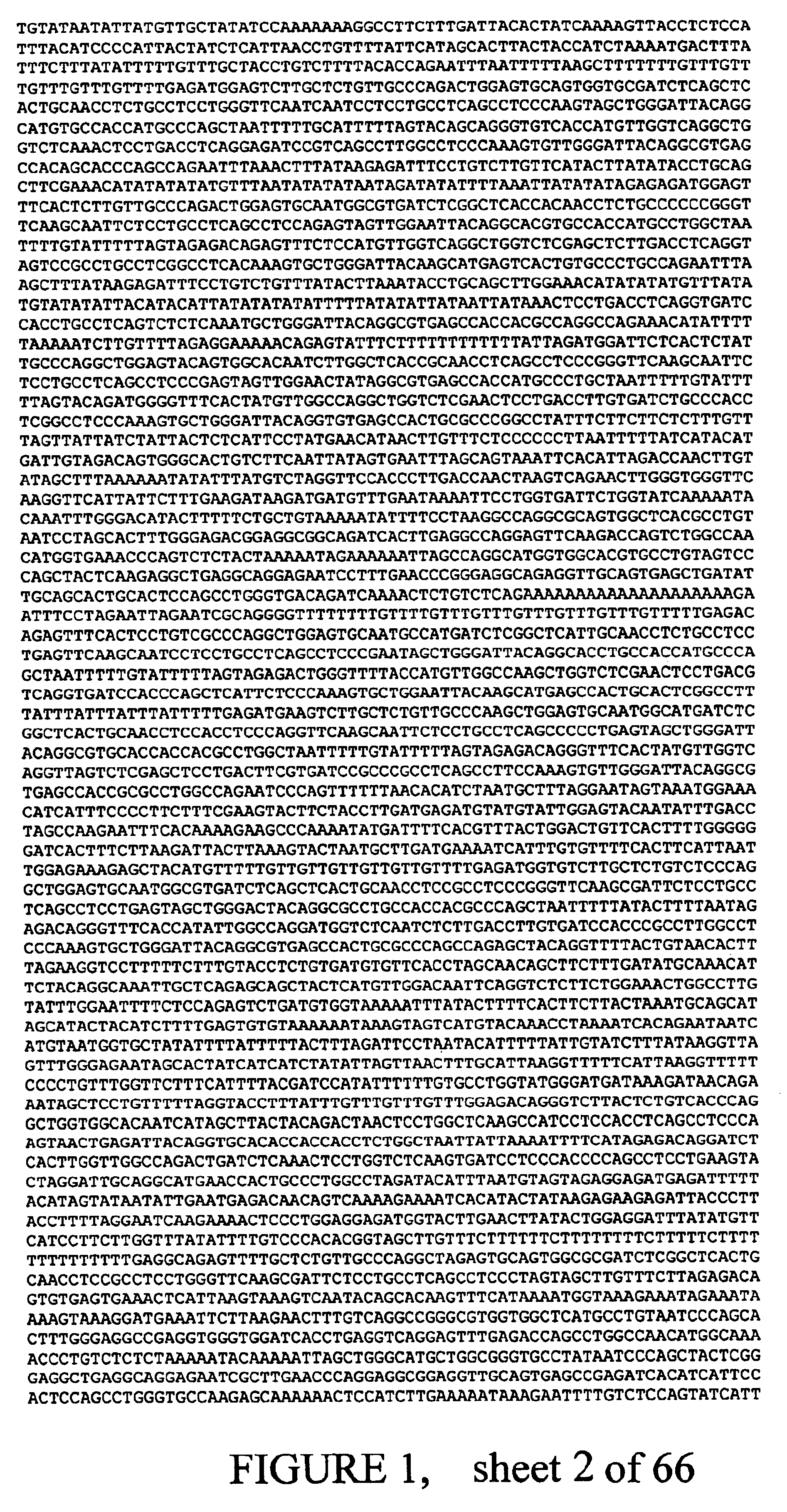 Estrogen receptor beta variants and methods of detection thereof