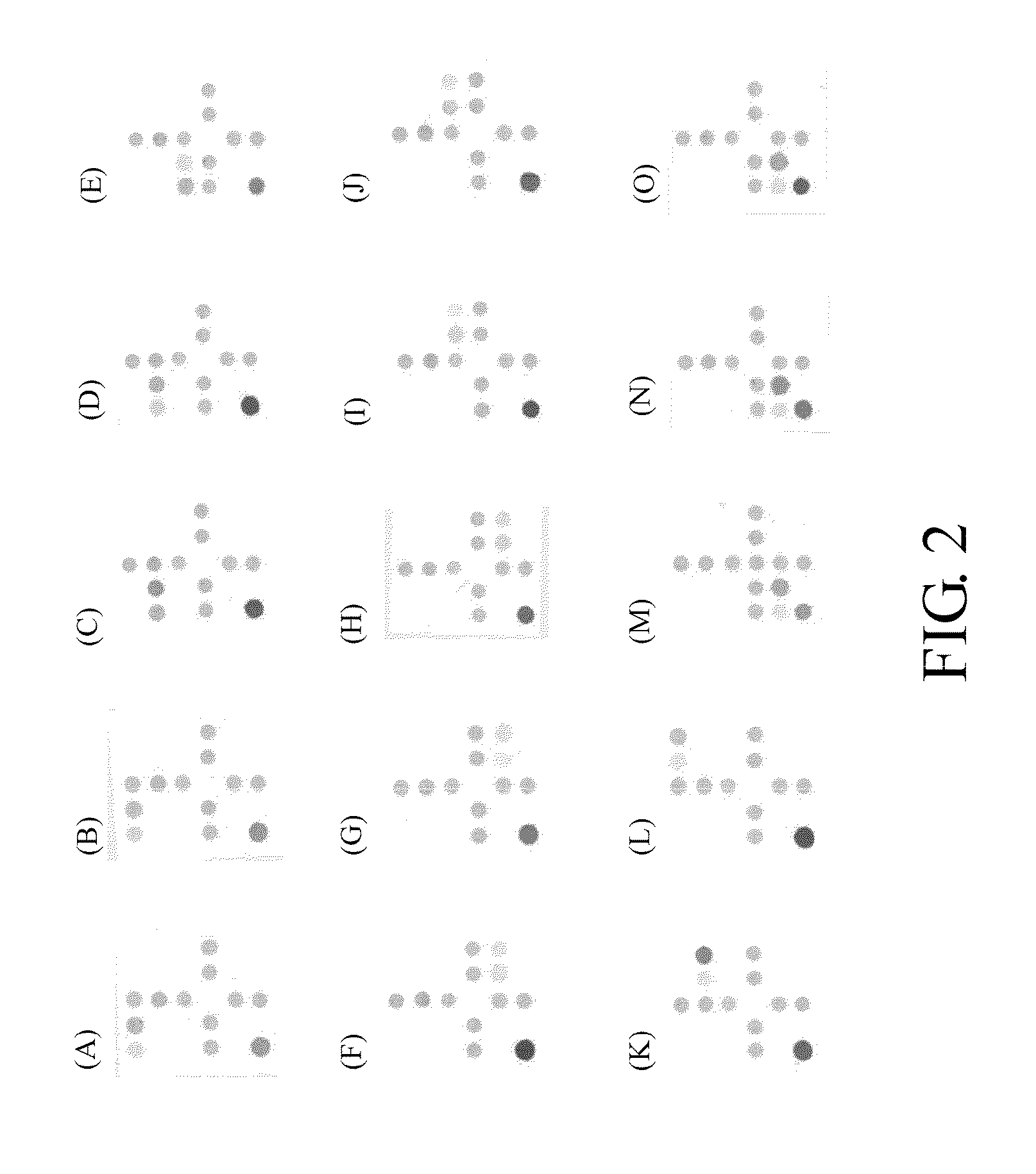 Oligonucleotide sequences and DNA chip for identifying filamentous microorganisms and the identification method thereof