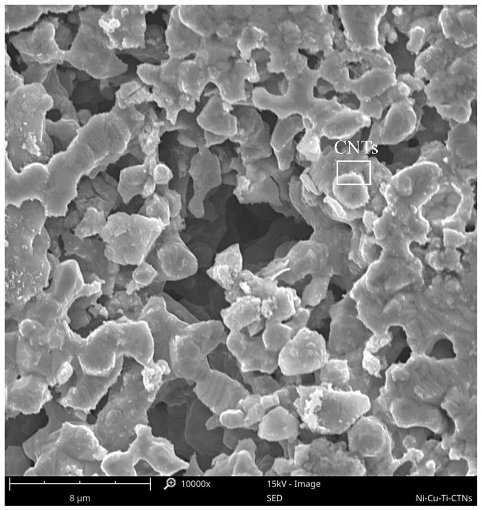 Ni-Cu-Ti/CNTs porous composite material and preparation method thereof