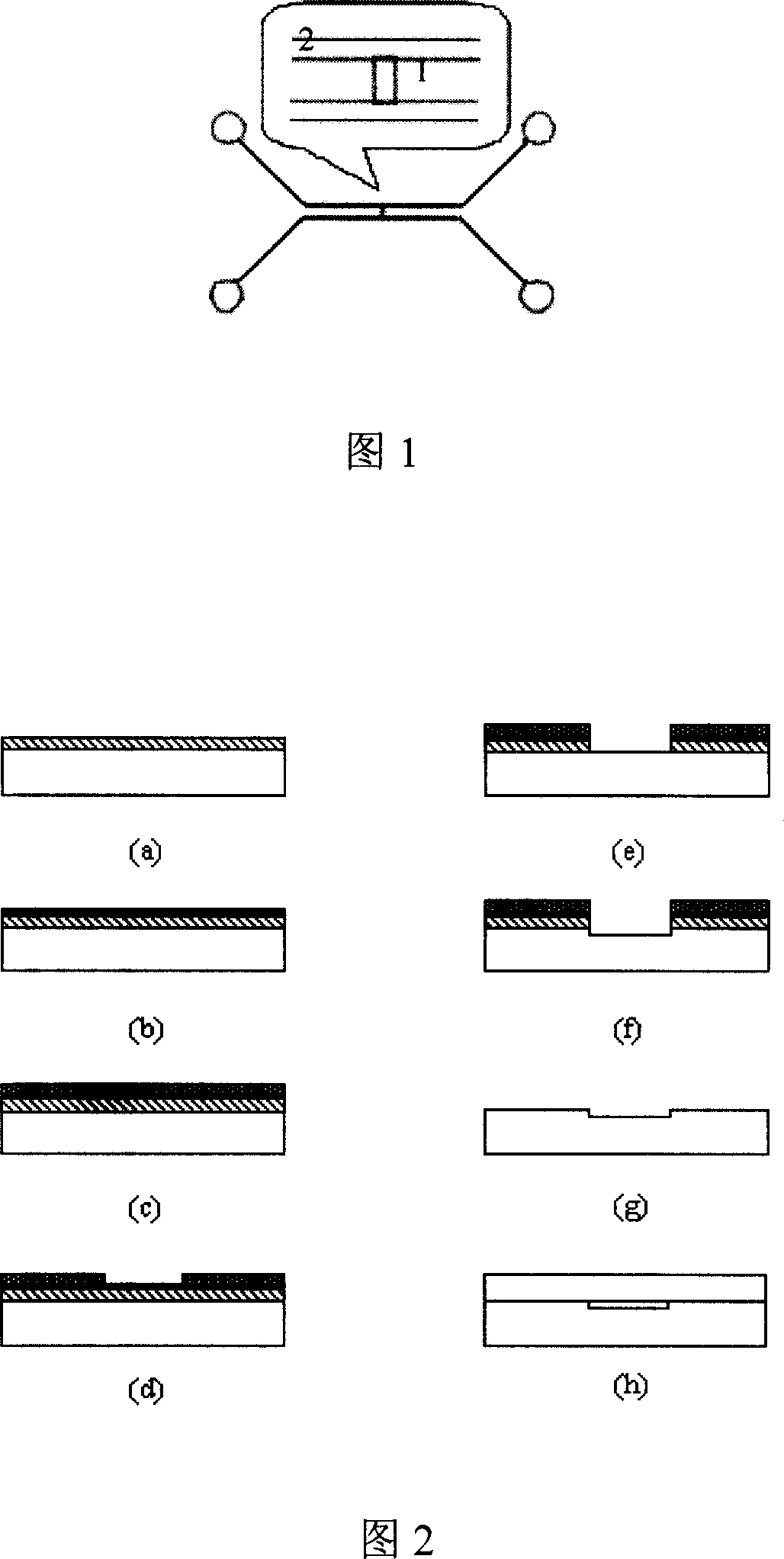 Sample enrichment chip, manufacturing method and enrichment method and on micronano structure