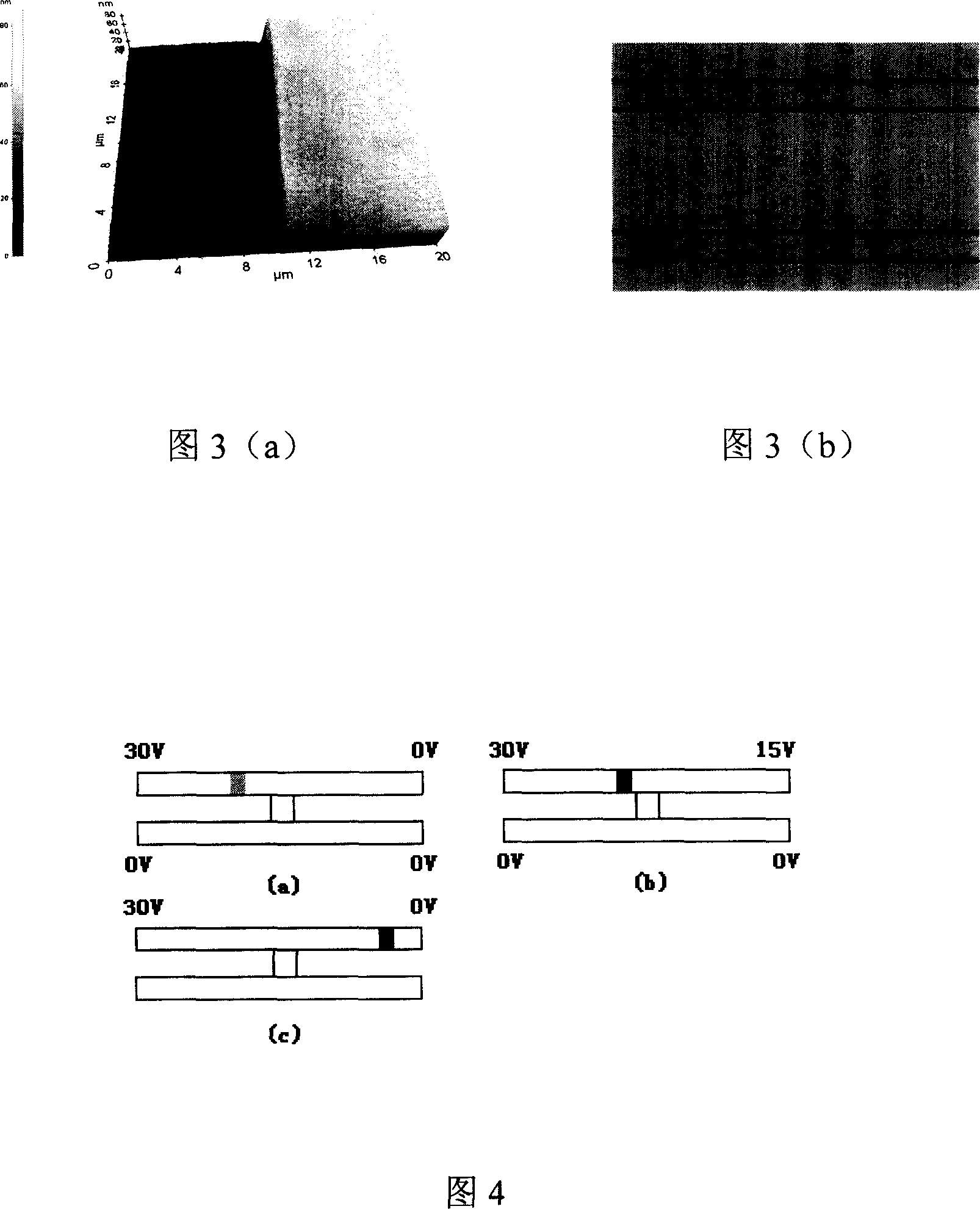 Sample enrichment chip, manufacturing method and enrichment method and on micronano structure
