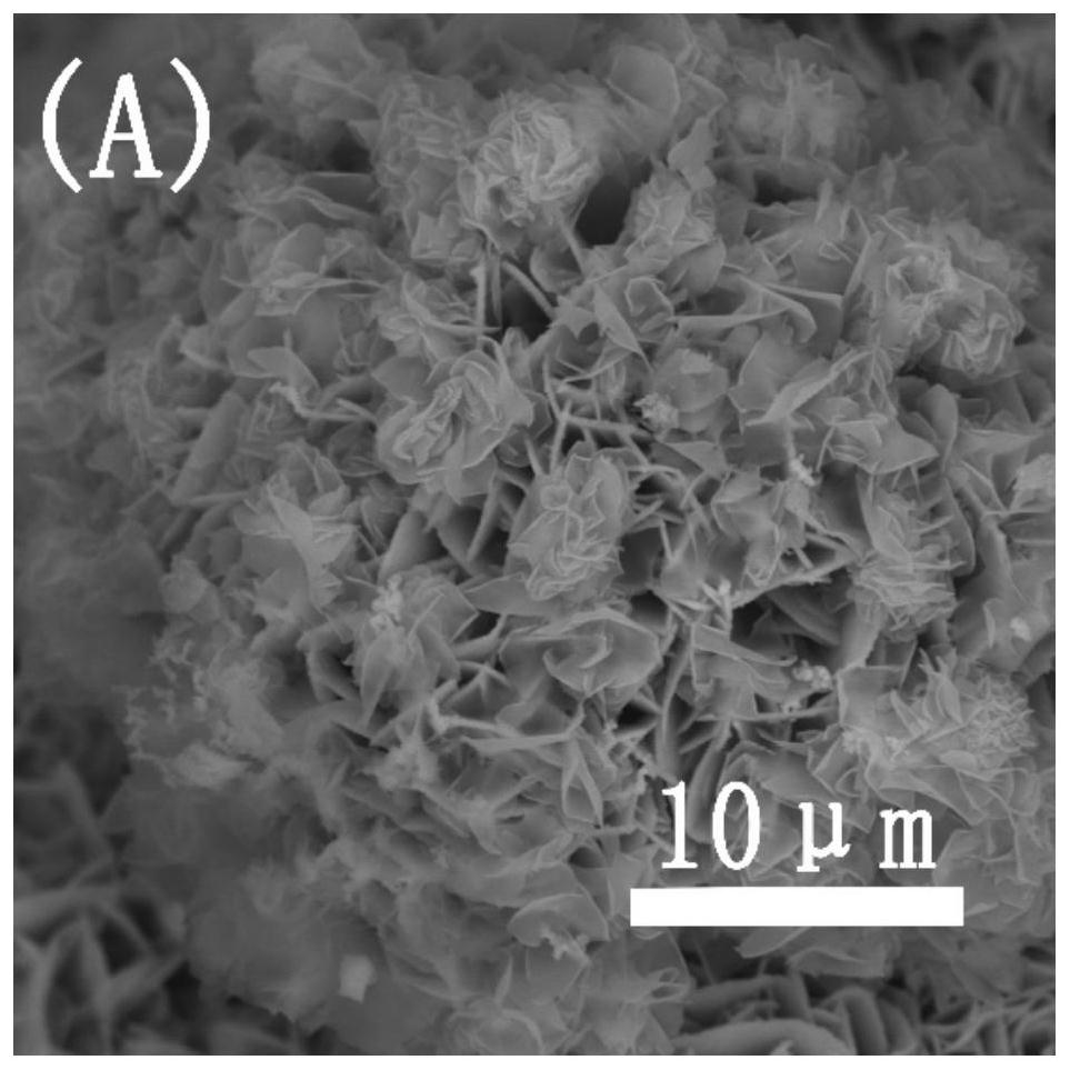 A molybdenum-doped iron/nickel layered array@foam nickel-based composite electrode material and its preparation method and application