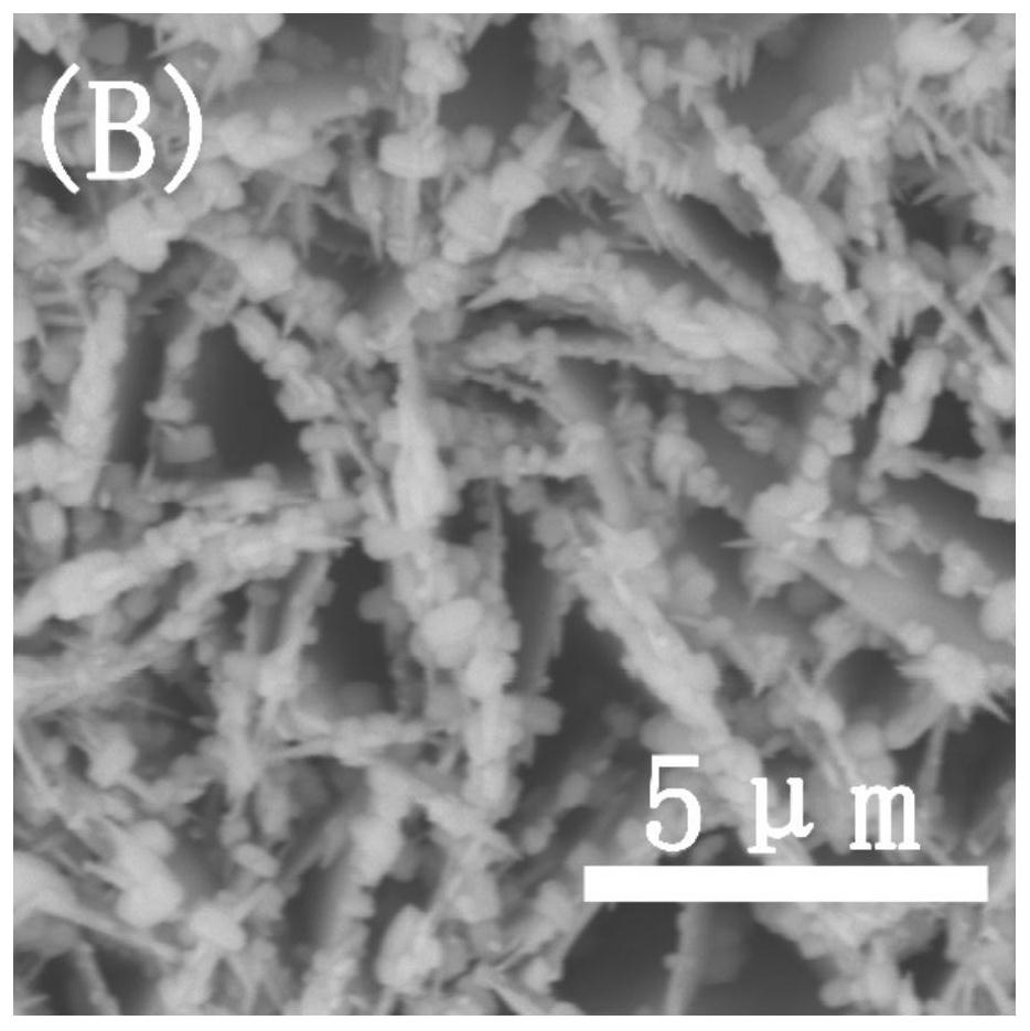 A molybdenum-doped iron/nickel layered array@foam nickel-based composite electrode material and its preparation method and application