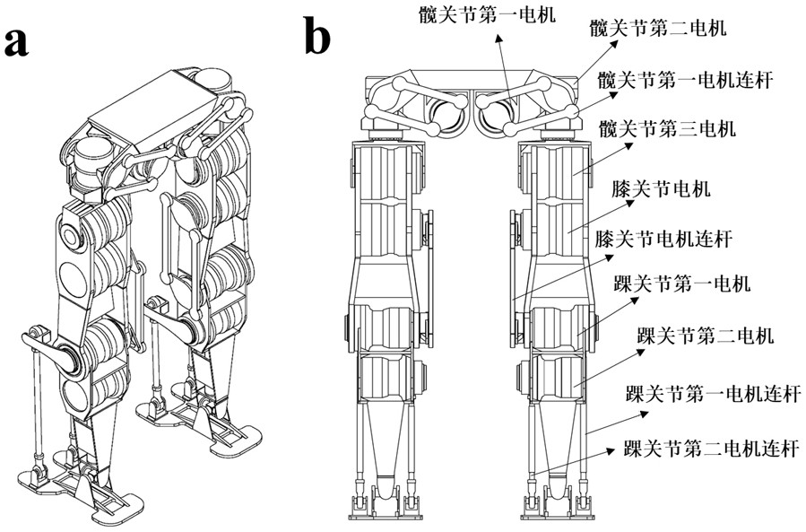 A high-energy-efficiency and lightweight leg-foot structure layout and design method for a biped robot