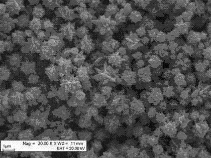 Method for synthesizing floriform cobalt magnetic powder by mixed solvent thermal method