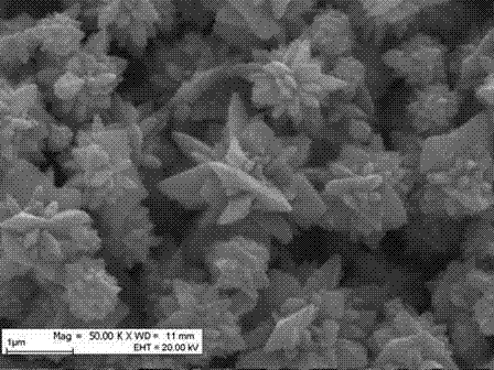 Method for synthesizing floriform cobalt magnetic powder by mixed solvent thermal method
