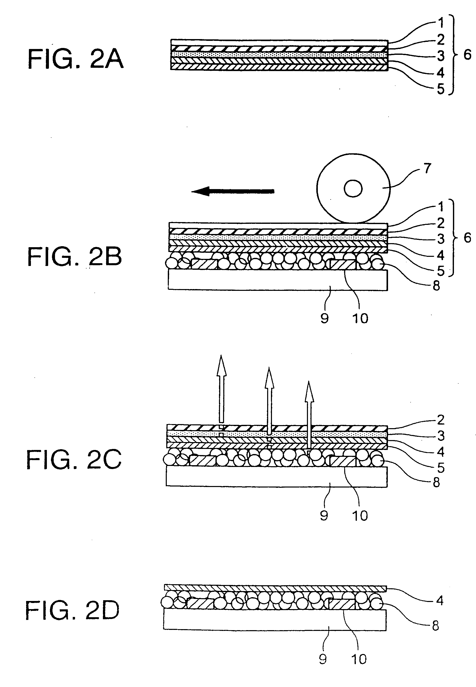 Transfer film, method for forming metal back layer, and display device
