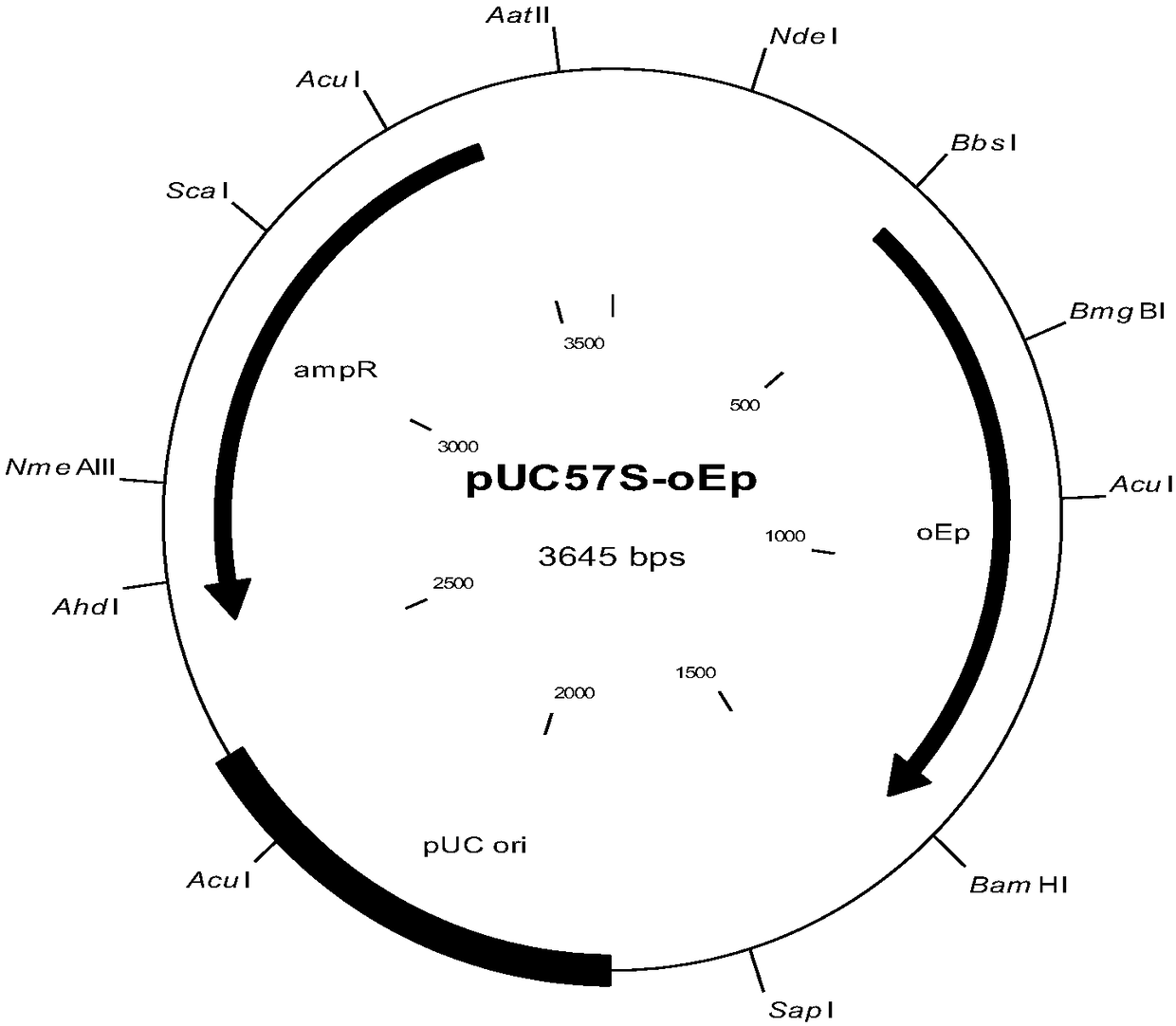 Recombinant saccharomycetes with soybean hull peroxidases displayed on cell surfaces as well as construction method and application of recombinant saccharomycetes