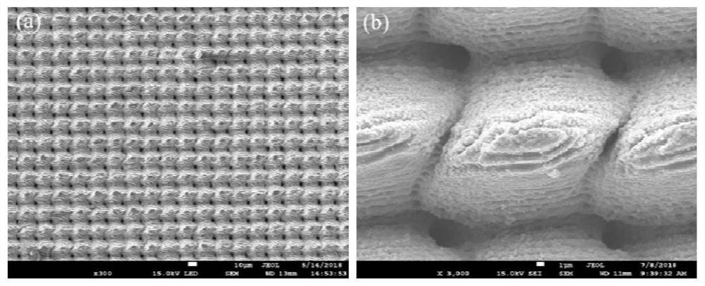 A system and method for preparing biomimetic superhydrophobic metal surface by laser-electrochemical deposition