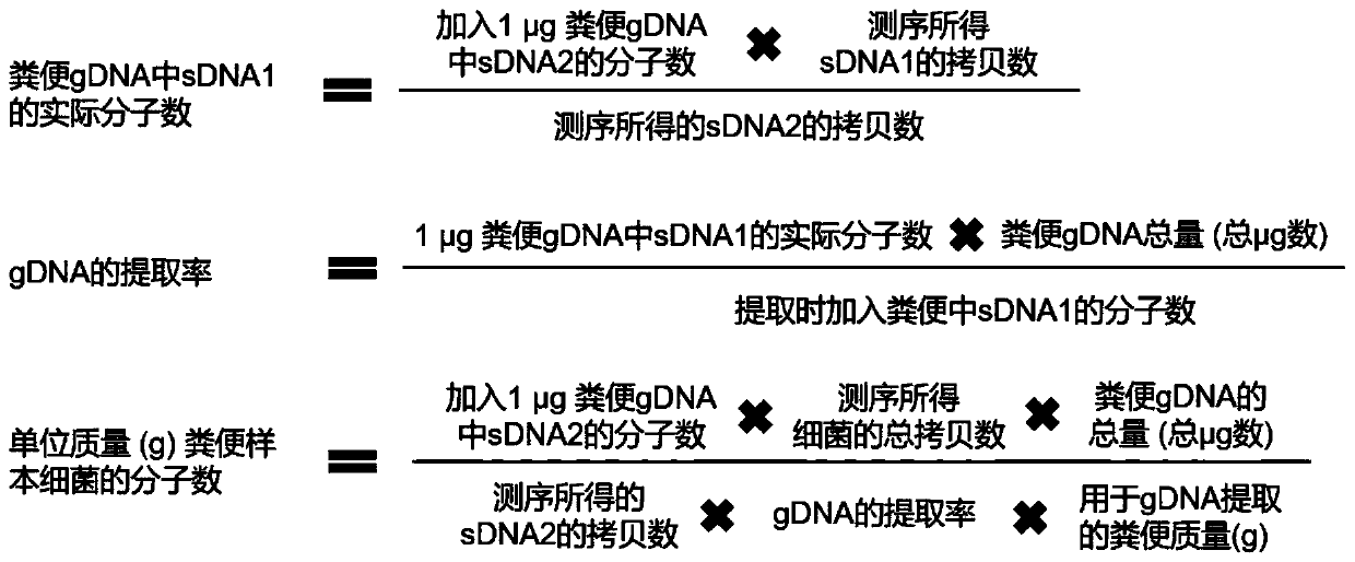 Metagenome absolute quantitation method