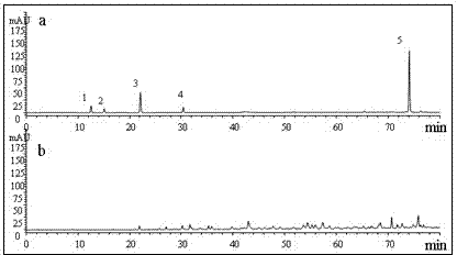 Quality control method and application of baccharis type propolis