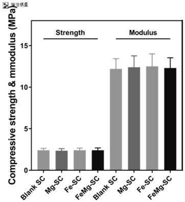 Bifunctional stent with anti-tumor and tissue defect repair effects and preparation method