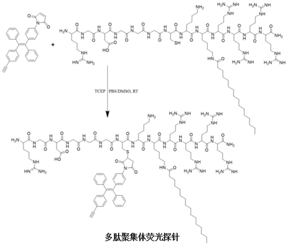 Fluorescent probe used for cell membrane imaging, and preparation method and application of fluorescent probe