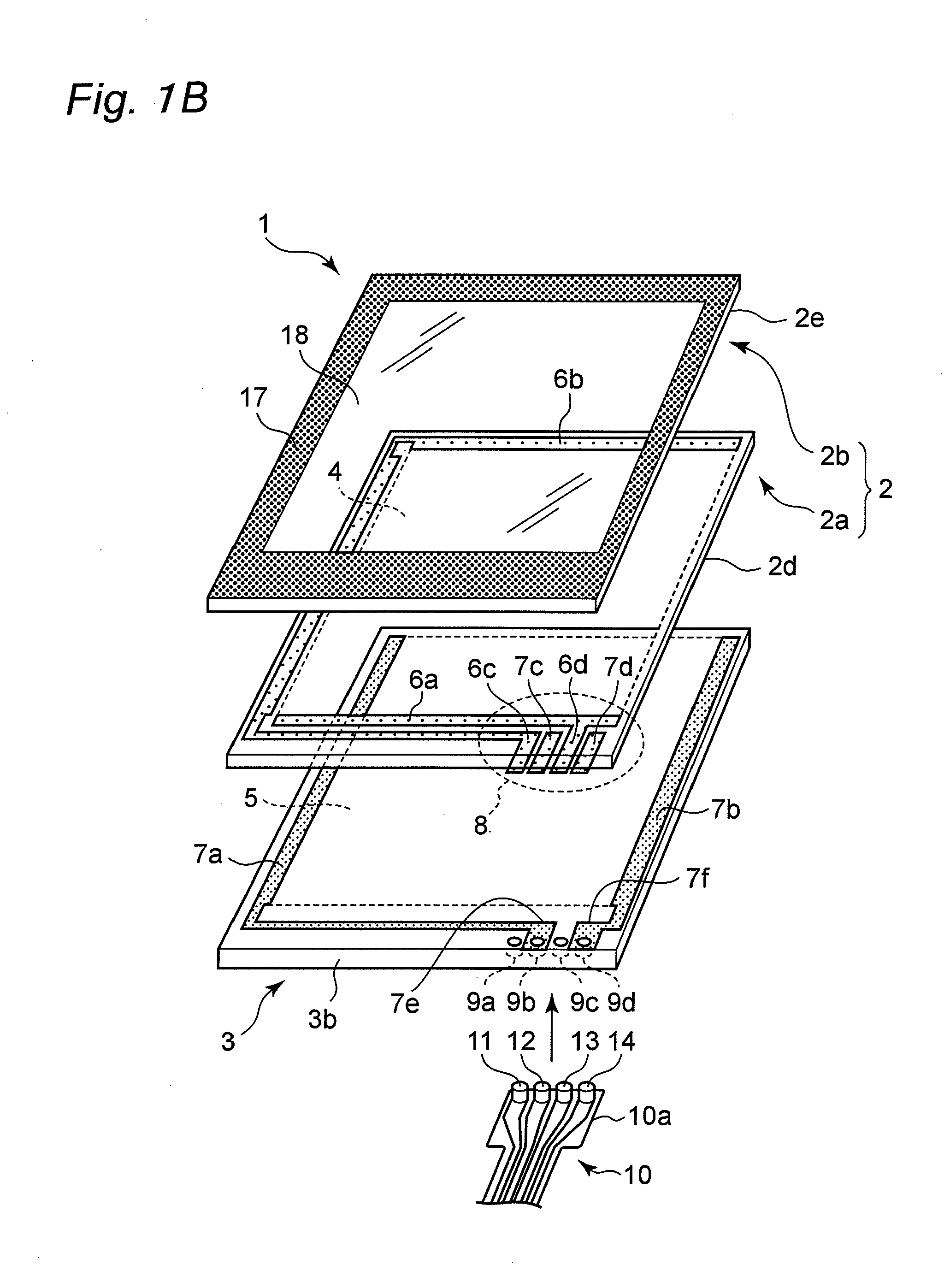Protective panel with touch input function superior in surface flatness and electronic apparatus having the protective panel