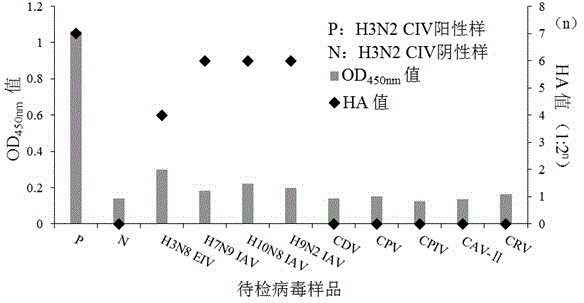 Establishment method of monoclonal antibody hybridoma cell strain for H3N2 canine influenza virus and preparation method and application of monoclonal antibody of monoclonal antibody hybridoma cell strain
