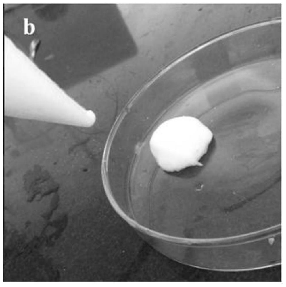 A kind of quick-drying quick-flammable sealing glue and its preparation method and application