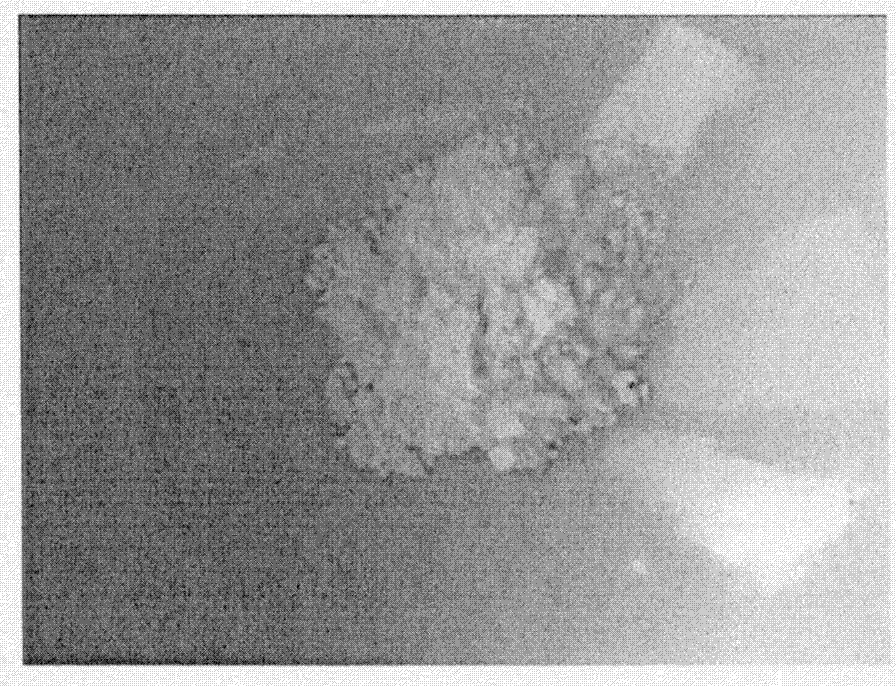 Beta-cyclodextrin modified starch material for dye wastewater treatment