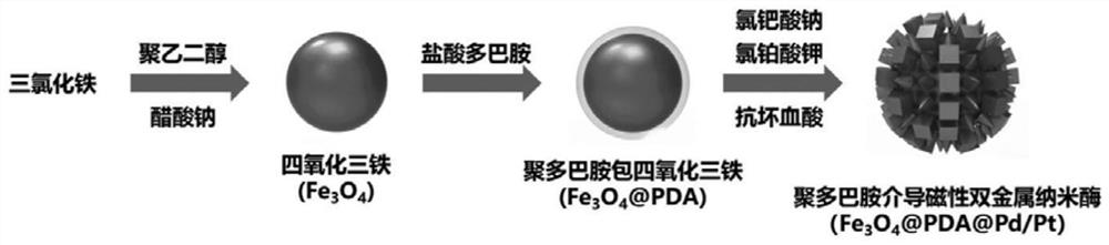 Preparation method of polydopamine mediated magnetic bimetallic nano-enzyme