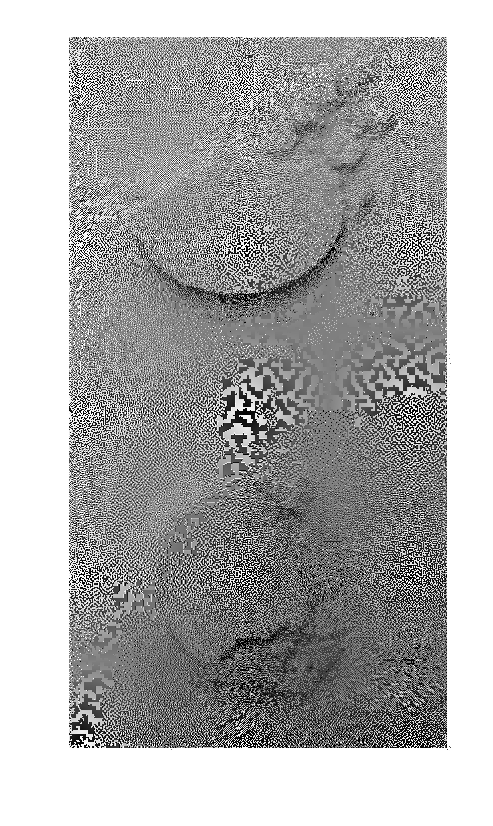 Method of manufacturing porous ceramic body and composition for porous ceramic body