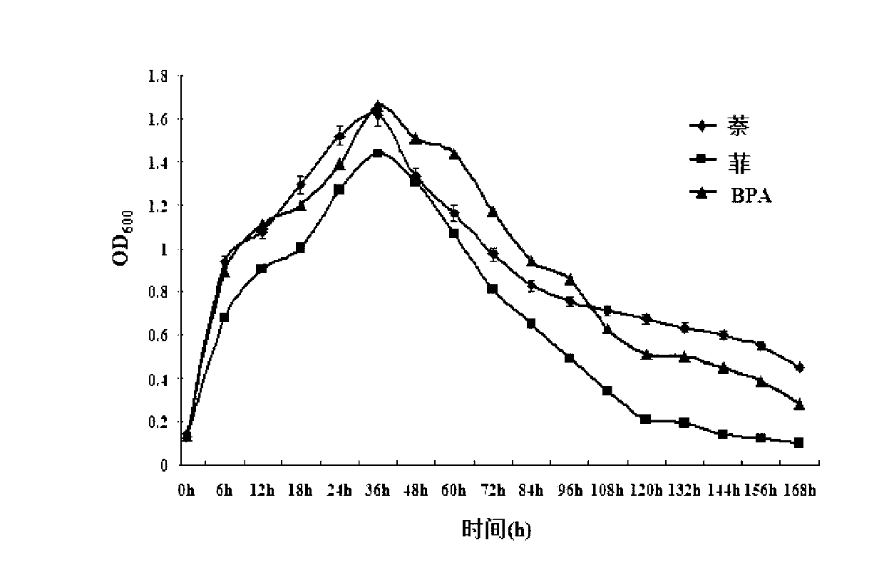 Pseudomonas fluorescens capable of degrading estrogen substances and preparation method and application thereof