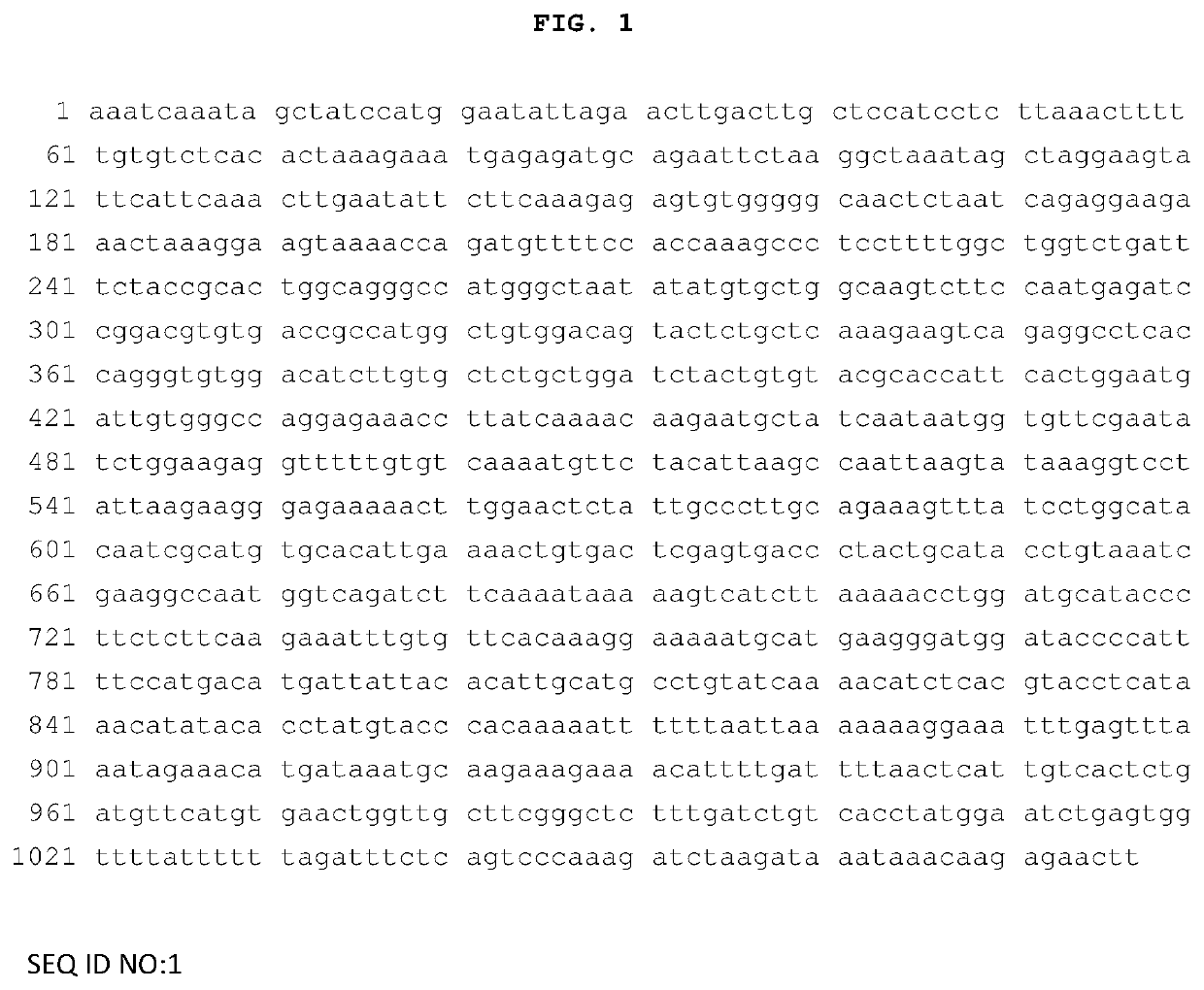 Compositions and methods for inhibiting expression of the lect2 gene