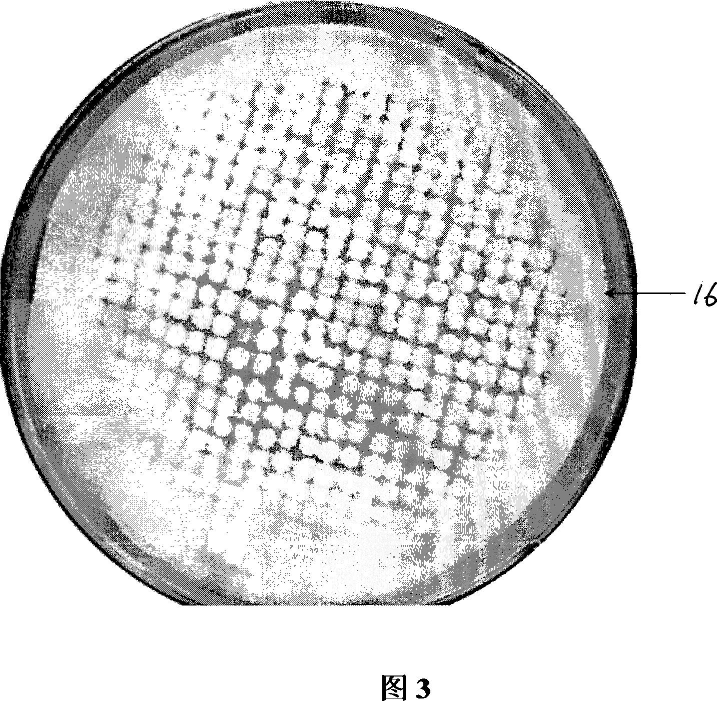 Flat-plate bacterial colony photographic reprinting apparatus and method