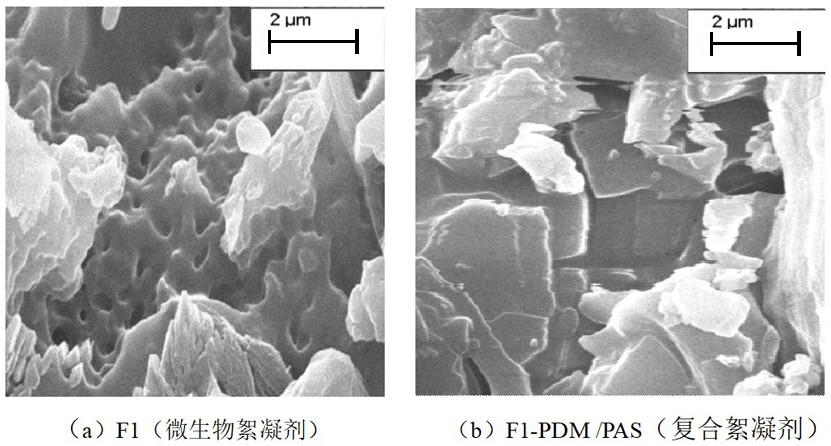 A kind of aluminum salt microbial composite flocculant for treating shale gas drilling wastewater