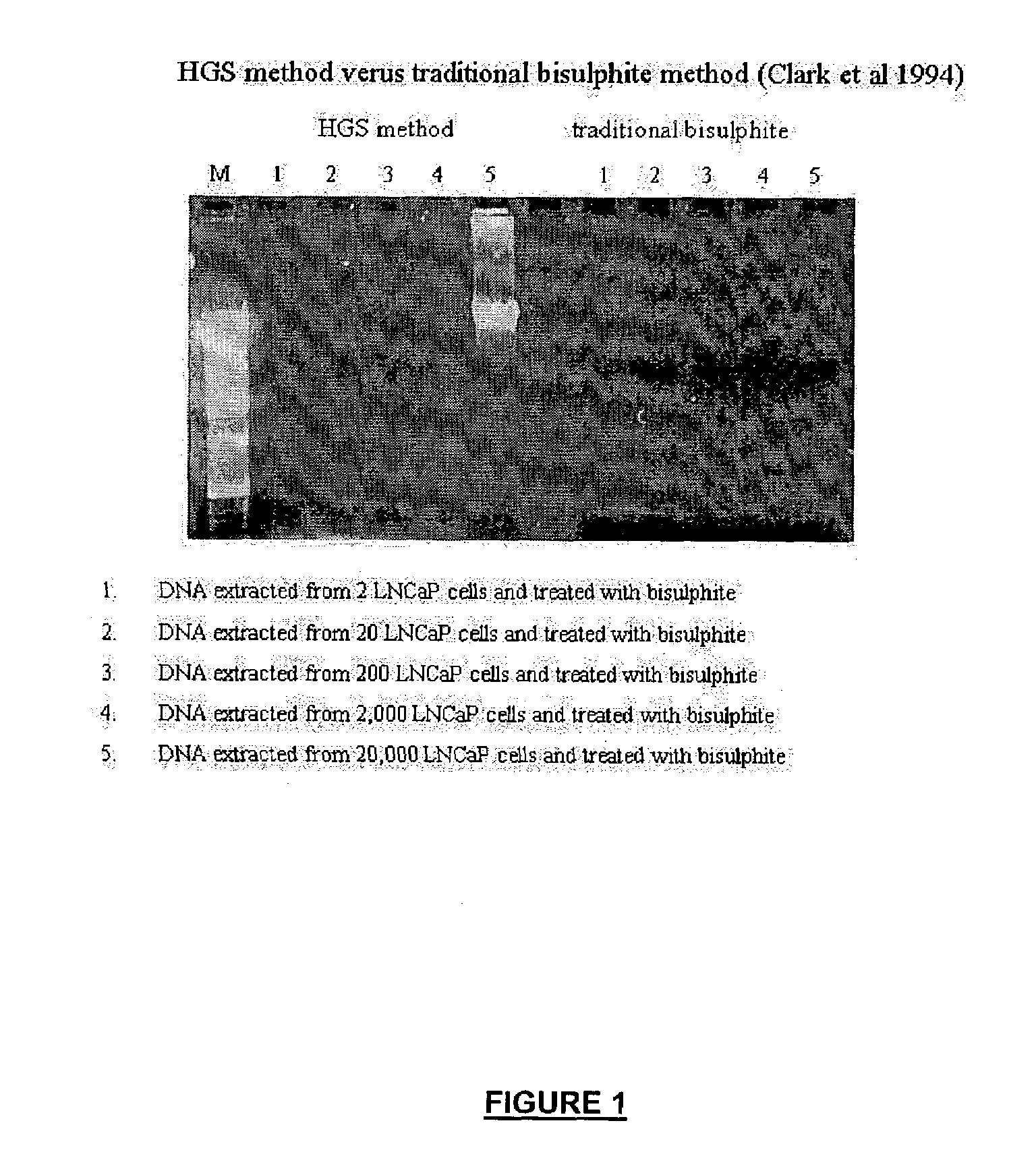 Treatment of methylated nucleic acid