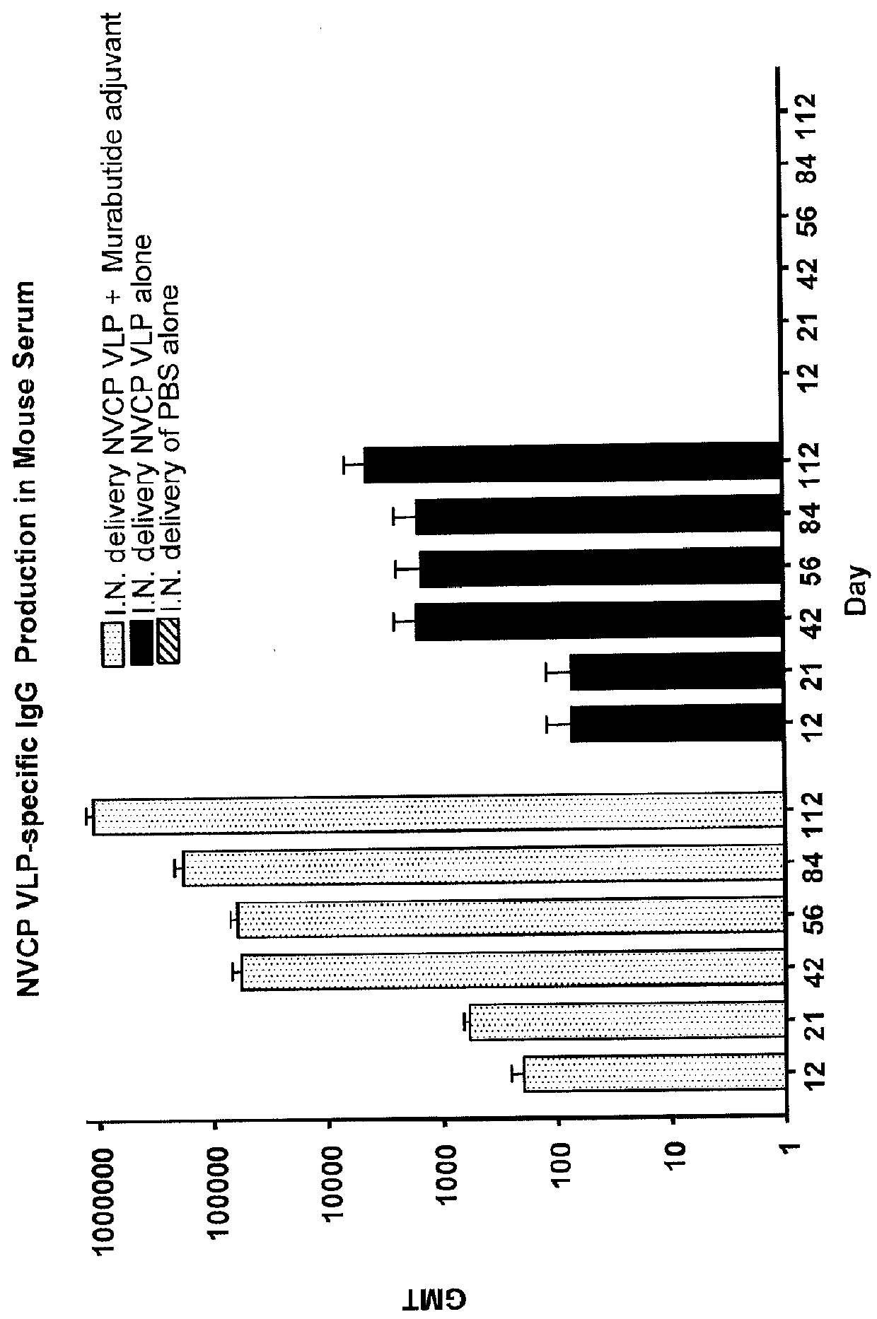 Mucosal Immunization