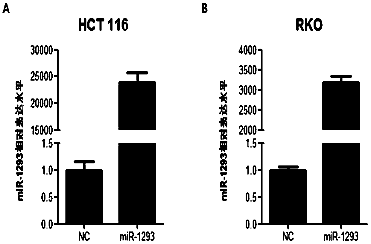 Application of miRNA-1293 in preparation of anti-colorectal tumor drug