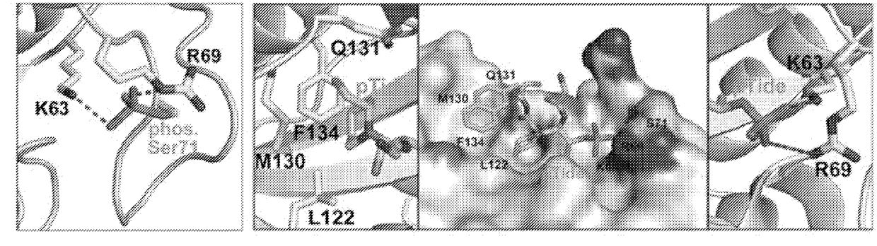 Enhanced atra-related compounds derived from structure-activity relationships and modeling for inhibiting pin1