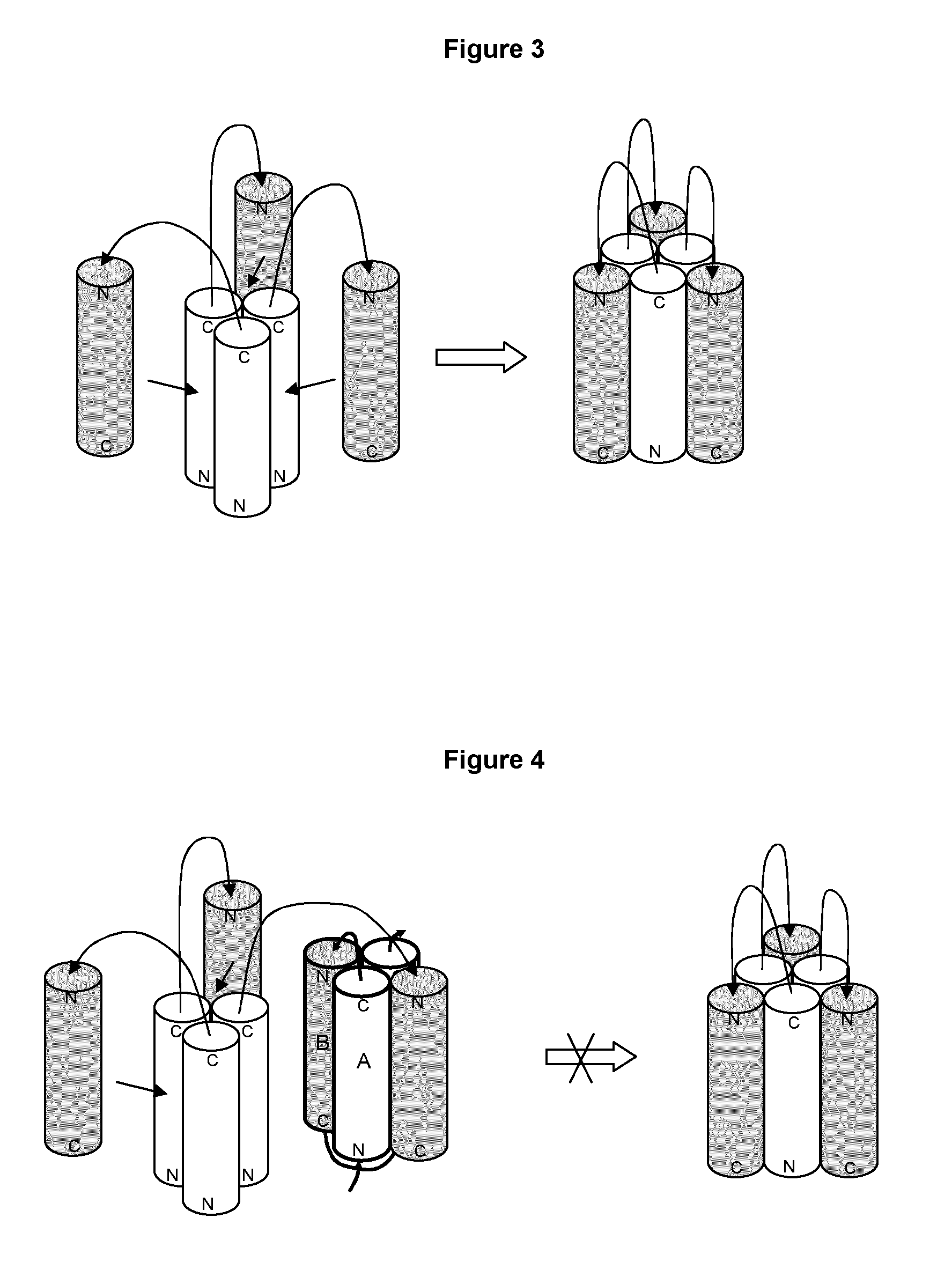 Alphabodies specifically binding to class-i viral fusion proteins and methods for producing the same