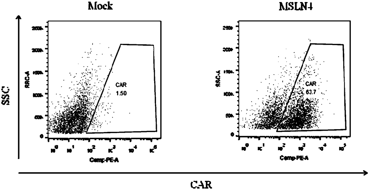 CAR (chimeric antigen receptor) carrying truncated or non-truncated natural cytotoxic receptor signal structure and application of CAR